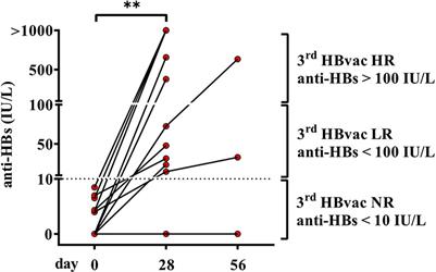 Hepatitis B Vaccine Non-Responders Show Higher Frequencies of CD24highCD38high Regulatory B Cells and Lower Levels of IL-10 Expression Compared to Responders